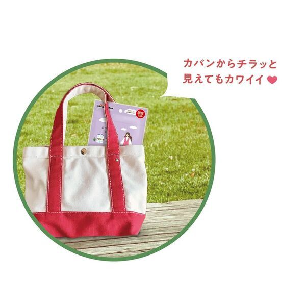 ペットフードはドギーマン♪持ち歩きに便利なお散歩の美味しいお供『ぽけパクッ！』4種が新発売！