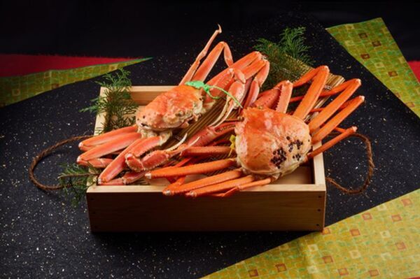 兵庫県香美町「さだ助別邸ICHIJO」冬季宿泊予約受付を開始　香住の冬、松葉ガニと静寂の美を味わう贅沢なひととき