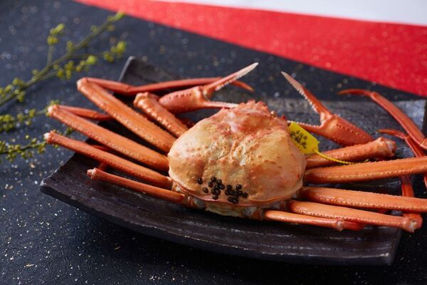 2025年9月1日、香住ガニがいよいよ解禁。香住港に活気が溢れるこの季節、さだ助別邸ICHIJOでは秋限定の宿泊プランをご用意しました。