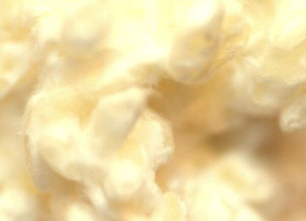 箱根の温泉宿「養生館はるのひかり」　ぬる湯温泉×発芽玄米菜食×整体を組み合わせた「自律神経の養生プラン」新たに2泊の新プランを提供開始