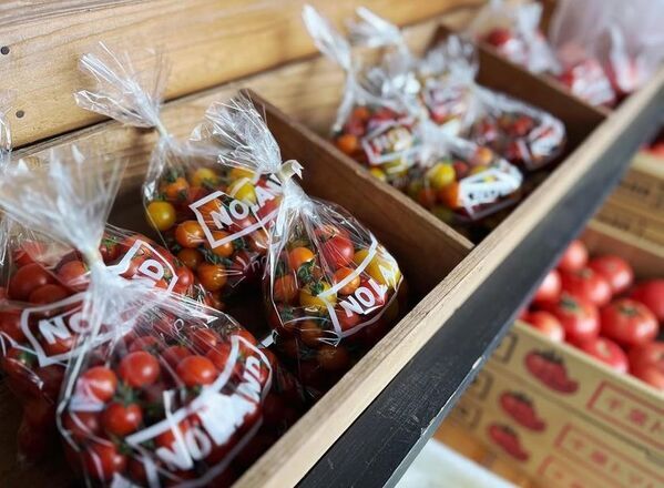 クーラーボックス必携！　“直売所天国”千葉で採れたてを巡ろう9月12日からは「ちばまるしぇキャンペーン2025」も開催！