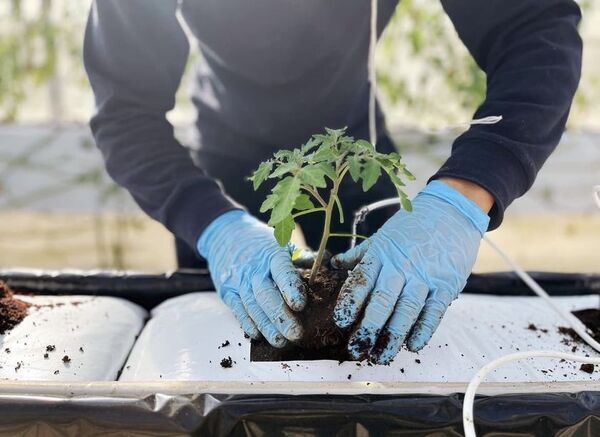 クーラーボックス必携！　“直売所天国”千葉で採れたてを巡ろう9月12日からは「ちばまるしぇキャンペーン2025」も開催！