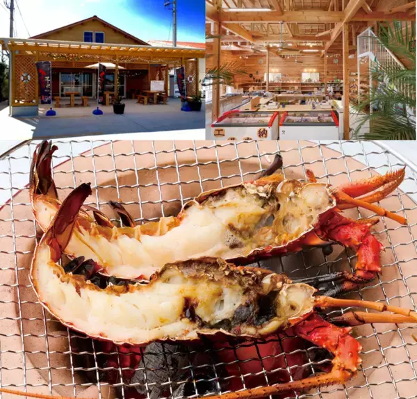 クーラーボックス必携！　“直売所天国”千葉で採れたてを巡ろう9月12日からは「ちばまるしぇキャンペーン2025」も開催！