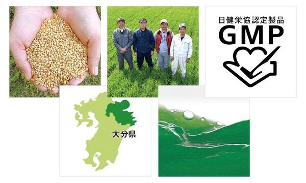 シンプルな味わいで毎日続けやすい大麦若葉の生エキス青汁「バーリィグリーン ベーシック」を9月1日に発売