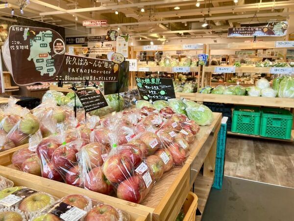 「道の駅八千穂高原」開駅1周年！秋の味覚祭りや感謝イベントを9月25日～28日の4日間で開催