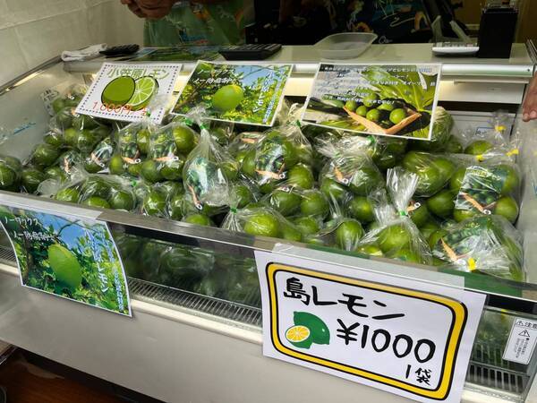 特産品をはじめ東京各島の魅力が有楽町に大集合！「東京愛らんどフェア 2025（秋）」開催