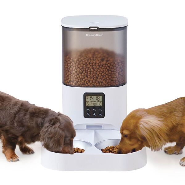 ドギーマンハヤシ、2匹飼育に対応した自動給餌器を発売！ごはんの量を細かく設定してペットの健康管理をサポート