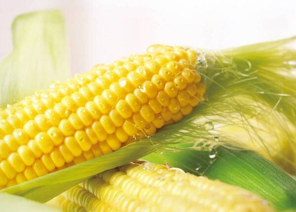 あべのハルカス近鉄本店　「大北海道展」