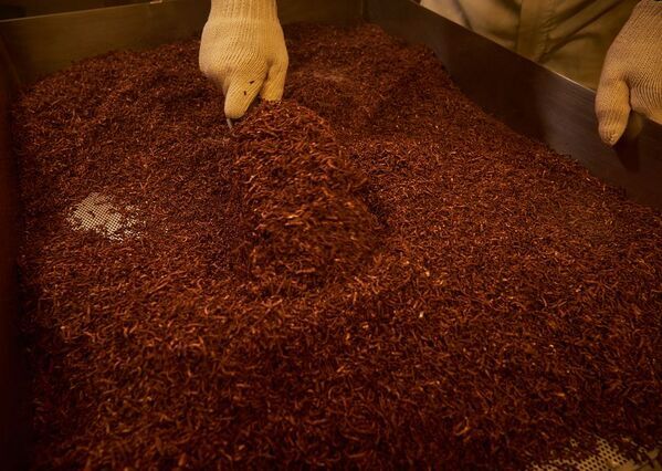 ごぼうの力が“腸活”を進化させる！焙煎ごぼうが「短鎖マーク」認定