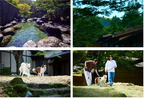 「愛犬と泊まれる古民家リトリート　赤城山 - 懐 -(ふところ)」が2025年9月2日(火)に開業しました。
