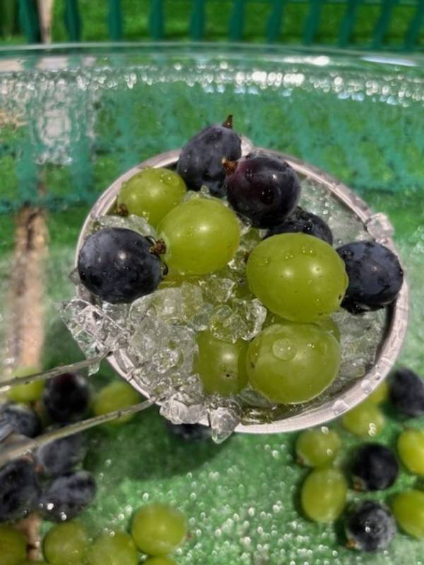 ＼9年分の感謝をドドーンとお届け！／群馬県渋川市『上州・村の駅』が「9周年祭」を9月6日(土)より開催　農産物の9円市やバケツ積み放題などお得なイベントが目白押し！