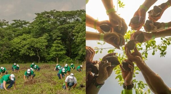 “世界で最もサステナブルなバーテンダー”の称号を競うFlor de Cana Sustainable Cocktail Challenge 2025　日本チャンピオン決定
