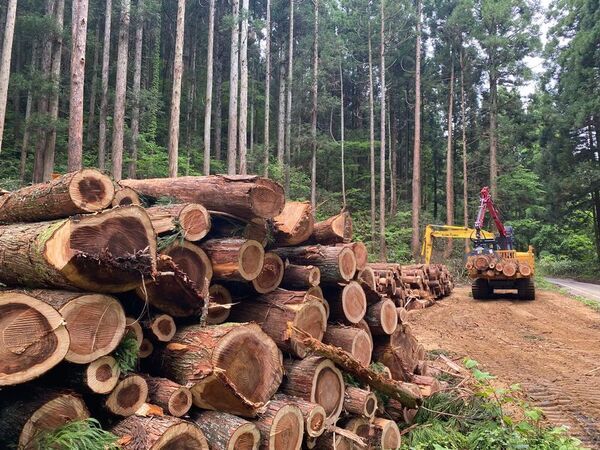 富山の森林資源を活かした環境価値の提供を開始