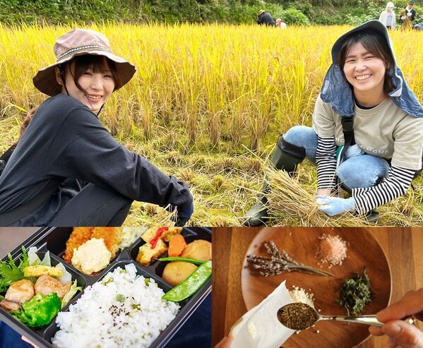 10/11(土)スキンケア原料農場の「まるごと秋の収穫祭」　稲刈り体験や、有機ハーブの入浴剤作り