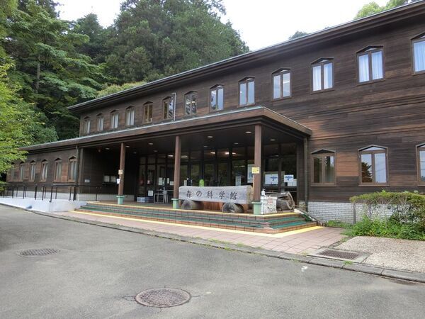 企画展「クマ ― かわいい？ こわい？ ― “知る”という選択」開催のお知らせ　“かわいい／こわい”の先へ。正しく“知る”ことで、クマとのちょうどよい距離を。