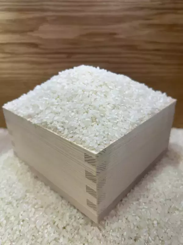 茨城県常総　新米・ぶどう・さつまいもなど秋の味覚を楽しむイベント9月13日(土)～9月23日(火)『常総　秋の収穫祭』開催