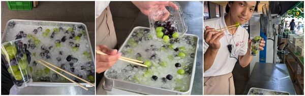 茨城県常総　新米・ぶどう・さつまいもなど秋の味覚を楽しむイベント9月13日(土)～9月23日(火)『常総　秋の収穫祭』開催