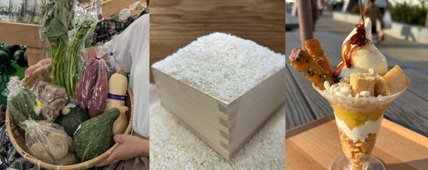 茨城県常総　新米・ぶどう・さつまいもなど秋の味覚を楽しむイベント9月13日(土)～9月23日(火)『常総　秋の収穫祭』開催