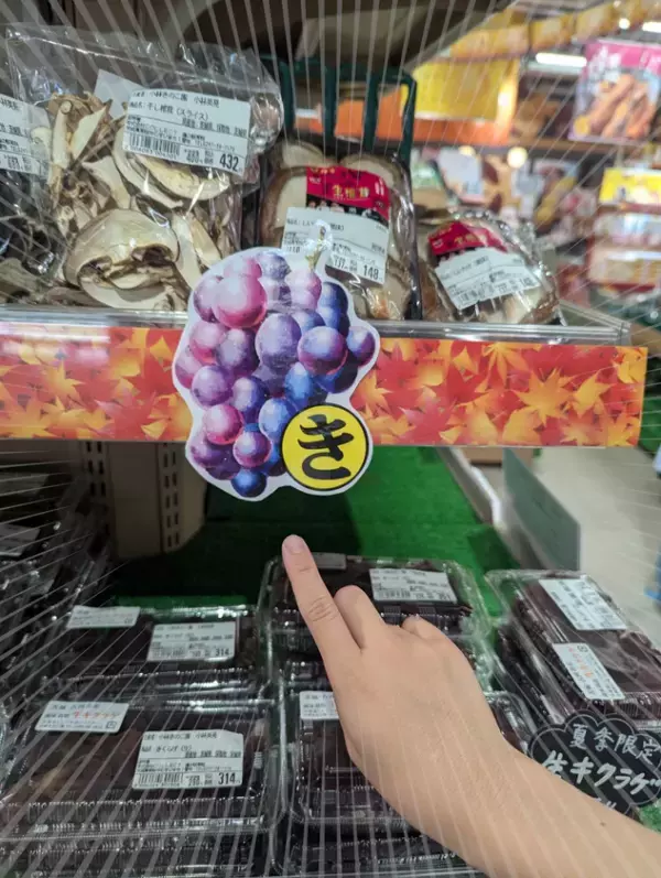 茨城県常総　新米・ぶどう・さつまいもなど秋の味覚を楽しむイベント9月13日(土)～9月23日(火)『常総　秋の収穫祭』開催