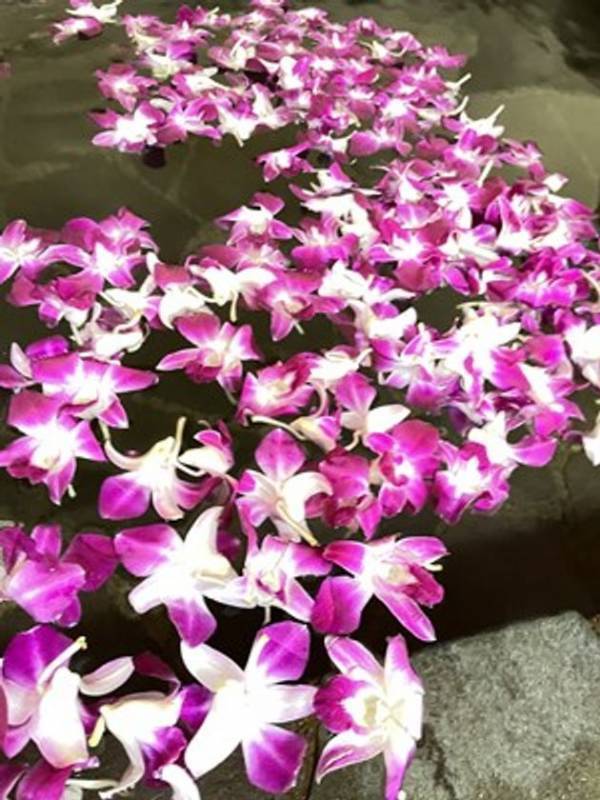 女性に嬉しい一週間ぶち抜きイベント「べっぴんさんの一週間 vol.10」開催！