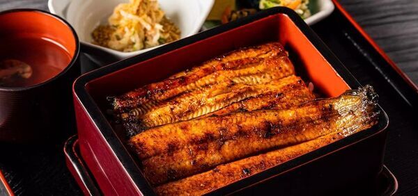 河津町が東京ビッグサイトで開催される全国175の自治体が参加する最大級のふるさと納税リアルイベント楽天「超ふるさと納税祭」に出展