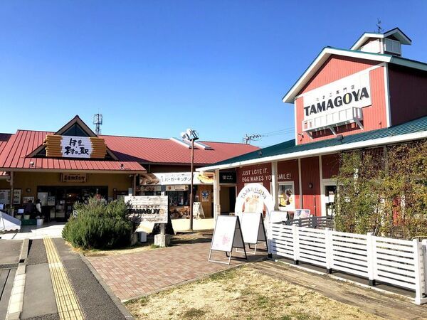 伊豆・村の駅で楽しむシルバーウィーク　敬老の日限定メニュー＆秋のスポーツイベントを9/13より開催