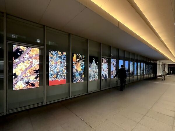 御茶ノ水の文化発信拠点「お茶ナビゲート」がデジタルアートギャラリー「KS46Wall」モニターゾーンの単独レンタルを強化