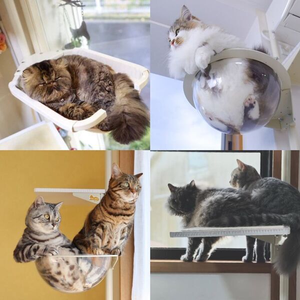業界初！窓枠につけるキャットタワー「ねこゴロン」最大10％OFFの期間限定秋セールを開催！