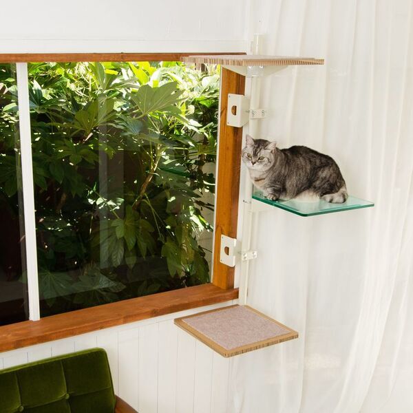 業界初！窓枠につけるキャットタワー「ねこゴロン」最大10％OFFの期間限定秋セールを開催！