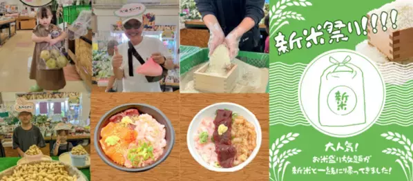 千葉県南房総市　道の駅ローズマリー公園はなまる市場「秋の大収穫祭！」開催！2025年9月13日(土)～15日(祝)、9月20日(土)～23日(祝)