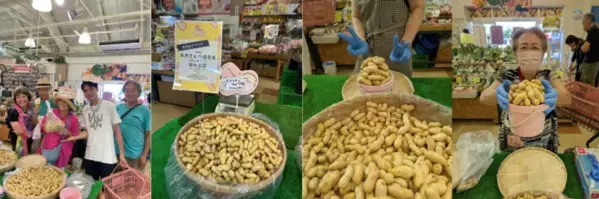 千葉県南房総市　道の駅ローズマリー公園はなまる市場「秋の大収穫祭！」開催！2025年9月13日(土)～15日(祝)、9月20日(土)～23日(祝)