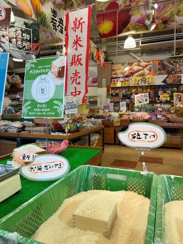 千葉県南房総市　道の駅ローズマリー公園はなまる市場「秋の大収穫祭！」開催！2025年9月13日(土)～15日(祝)、9月20日(土)～23日(祝)