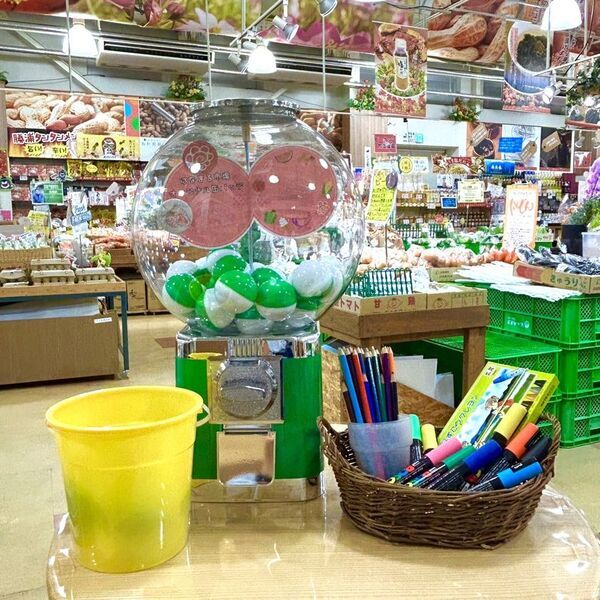 千葉県南房総市　道の駅ローズマリー公園はなまる市場「秋の大収穫祭！」開催！2025年9月13日(土)～15日(祝)、9月20日(土)～23日(祝)