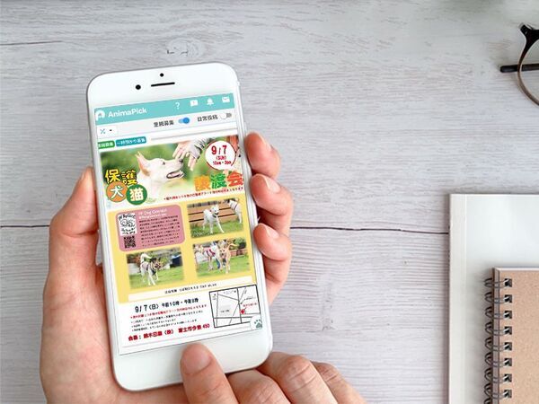 コロナ禍以降寄付減少、疲弊する動物保護現場　見るだけで支援になるSNSアプリ『AnimaPick』が新機能リリース