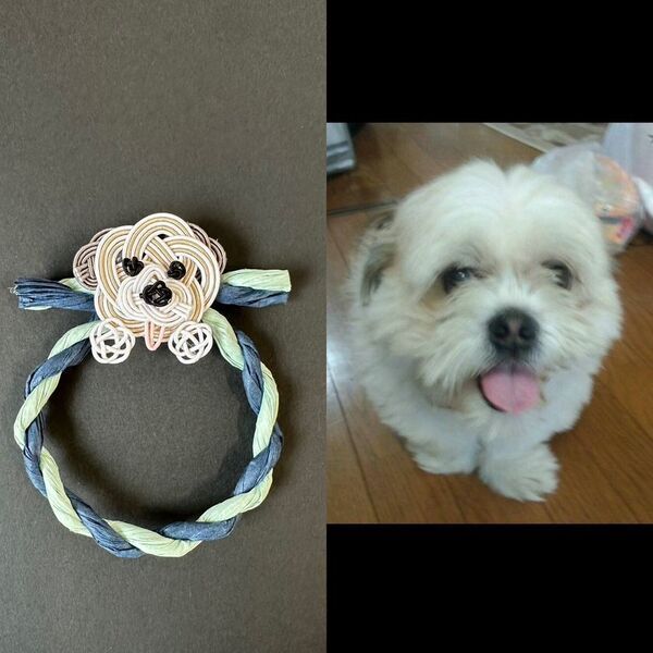 あなたのワンちゃん猫ちゃんがしめ縄のモチーフに！　「ペットしめ縄」の“しめなワン”、“しめニャわ”　オリジナル作成キャンペーンを9月11日より開催