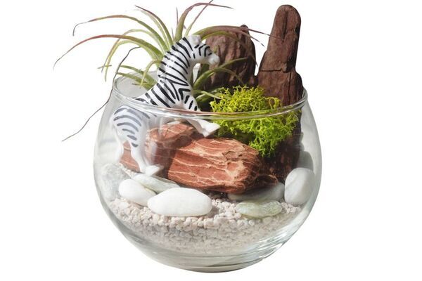 「クイーンズスクエア横浜SDGsアクション2025」9月27日(土)・9月28日(日)開催