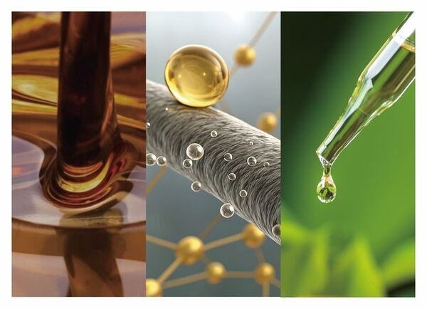 【新商品】ふわり泡で、根元から健やかに！『ひとときのしずく エレシャンプー＆エレトリートメント』2025年9月20日発売