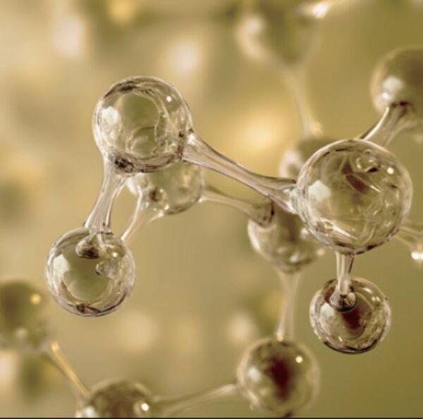 高まるハイエンド美容ニーズに応え、新プレミアムヘアケアライン サブリミック「タイムティック」誕生。時を超え、あなたの輝きは解き放たれる。五感を満たし、未来の美しさへ導くプレミアムなヘアケア体験を。