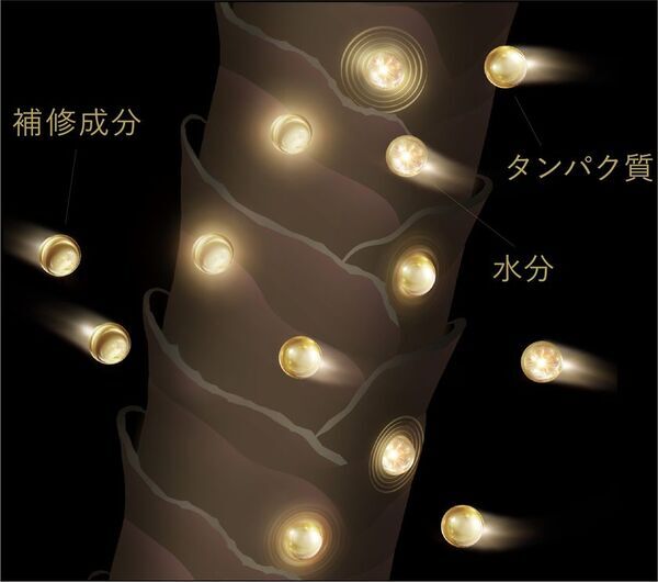 高まるハイエンド美容ニーズに応え、新プレミアムヘアケアライン サブリミック「タイムティック」誕生。時を超え、あなたの輝きは解き放たれる。五感を満たし、未来の美しさへ導くプレミアムなヘアケア体験を。