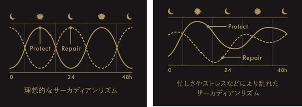 高まるハイエンド美容ニーズに応え、新プレミアムヘアケアライン サブリミック「タイムティック」誕生。時を超え、あなたの輝きは解き放たれる。五感を満たし、未来の美しさへ導くプレミアムなヘアケア体験を。