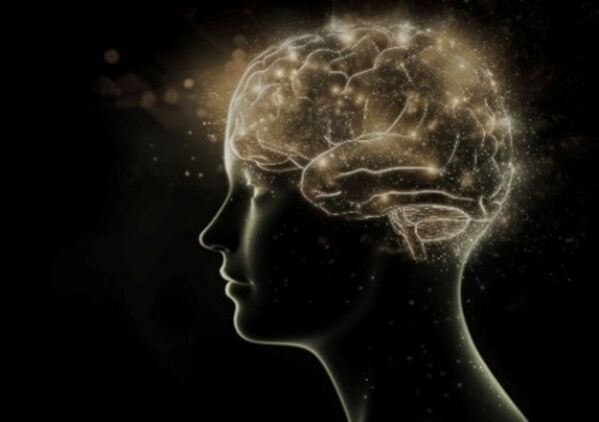 高まるハイエンド美容ニーズに応え、新プレミアムヘアケアライン サブリミック「タイムティック」誕生。時を超え、あなたの輝きは解き放たれる。五感を満たし、未来の美しさへ導くプレミアムなヘアケア体験を。