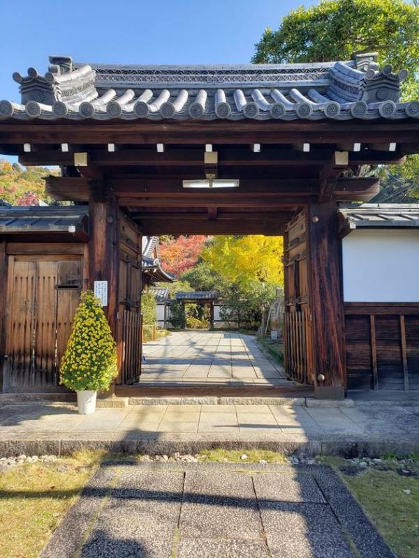 通常非公開・京都「霊鑑寺」秋の特別拝観11月21日(金)より開催　～庭の緑と紅葉の赤が織りなす美しい庭園と狩野派作の襖絵を公開～