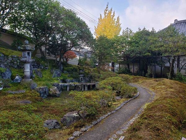 通常非公開・京都「霊鑑寺」秋の特別拝観11月21日(金)より開催　～庭の緑と紅葉の赤が織りなす美しい庭園と狩野派作の襖絵を公開～