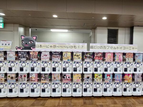 猫好きさんの祭典『にゃんだらけ19』9/27・28開催！“招き猫祭り”をテーマに250ブースが大集結