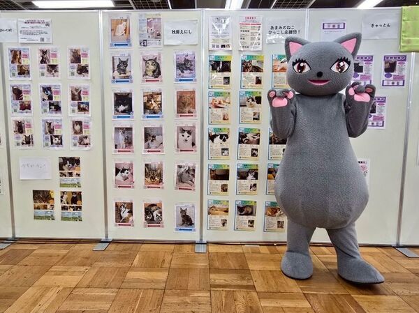 猫好きさんの祭典『にゃんだらけ19』9/27・28開催！“招き猫祭り”をテーマに250ブースが大集結