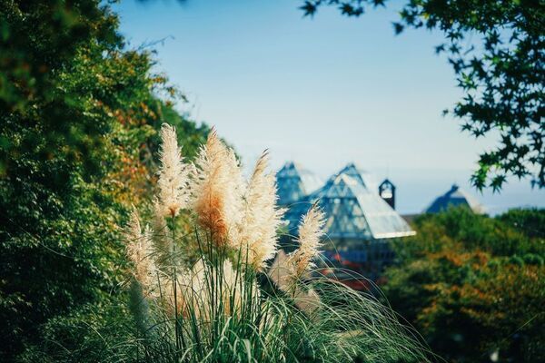 神戸を一望できる山上のリゾート“神戸布引ハーブ園”で秋を満喫！「GARDEN FEST 2025-Autumn- のんびり、ぶらり、秋散歩」を9/13(土)～12/7(日)に開催