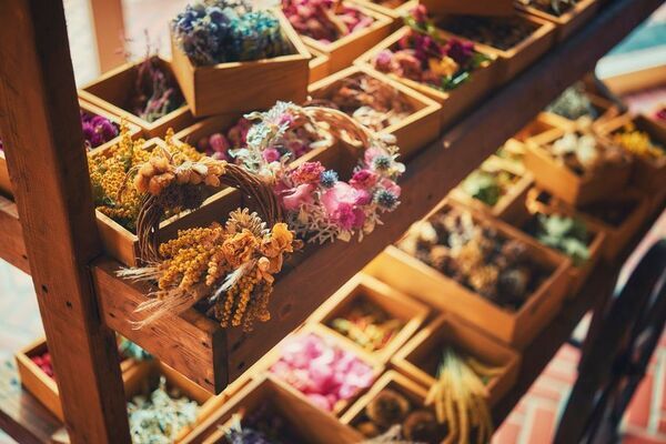 神戸を一望できる山上のリゾート“神戸布引ハーブ園”で秋を満喫！「GARDEN FEST 2025-Autumn- のんびり、ぶらり、秋散歩」を9/13(土)～12/7(日)に開催