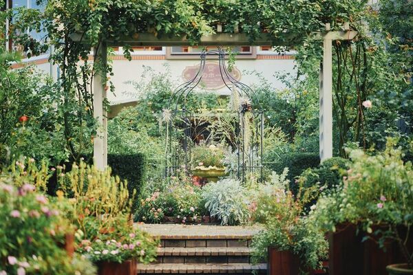 神戸を一望できる山上のリゾート“神戸布引ハーブ園”で秋を満喫！「GARDEN FEST 2025-Autumn- のんびり、ぶらり、秋散歩」を9/13(土)～12/7(日)に開催