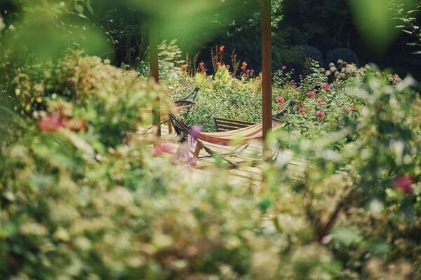 神戸を一望できる山上のリゾート“神戸布引ハーブ園”で秋を満喫！「GARDEN FEST 2025-Autumn- のんびり、ぶらり、秋散歩」を9/13(土)～12/7(日)に開催