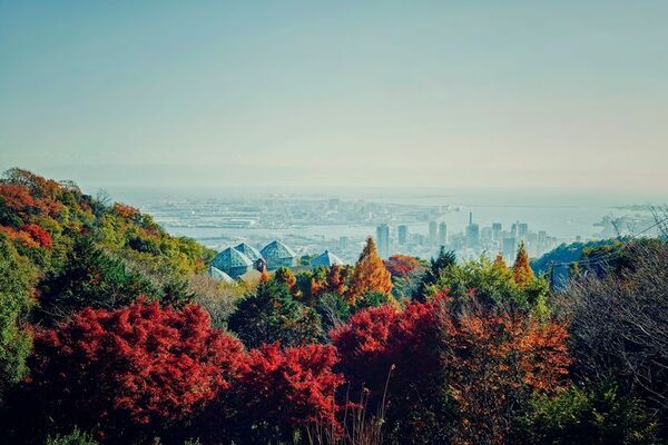 神戸を一望できる山上のリゾート“神戸布引ハーブ園”で秋を満喫！「GARDEN FEST 2025-Autumn- のんびり、ぶらり、秋散歩」を9/13(土)～12/7(日)に開催